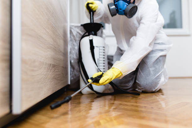 Best Mosquito Control Services  in Granger, TX