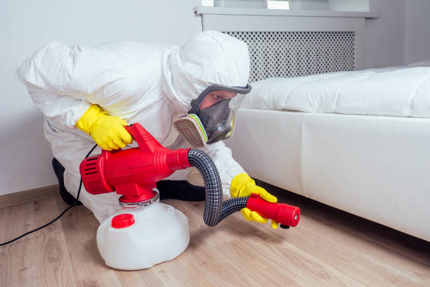 Best Pest Prevention Services  in Granger, TX