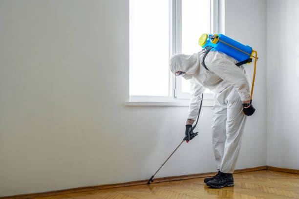 Trusted Granger, TX Pest Control Experts