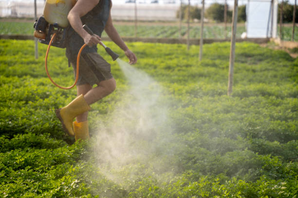 Best Pest Control Near Me  in Granger, TX