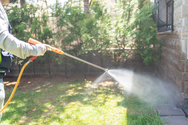 Pest Control for Restaurants in Granger, TX