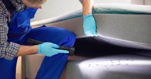 Best Flea Control Services  in Granger, TX