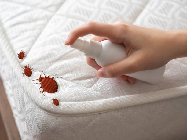 Best Best Pest Control Companies  in Granger, TX