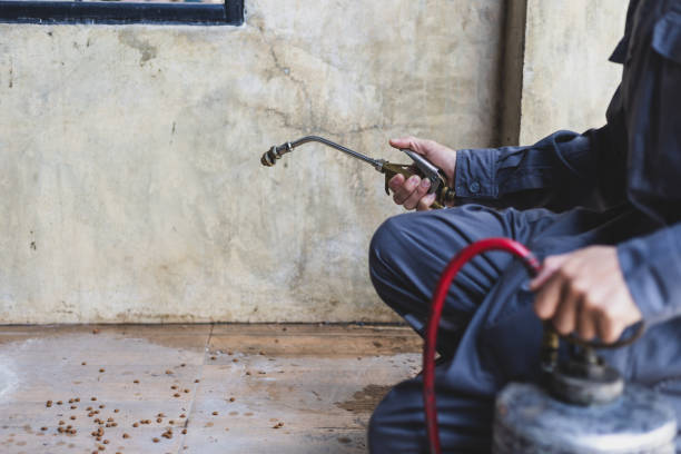 Pest Prevention Services in Granger, TX