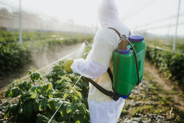 Best Pest Control for Restaurants  in Granger, TX